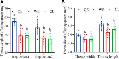 Honey bee maternal effects improve worker performance and reproductive ability in offspring